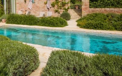 Piscine Design 12